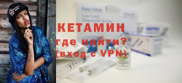 твердый Пересвет