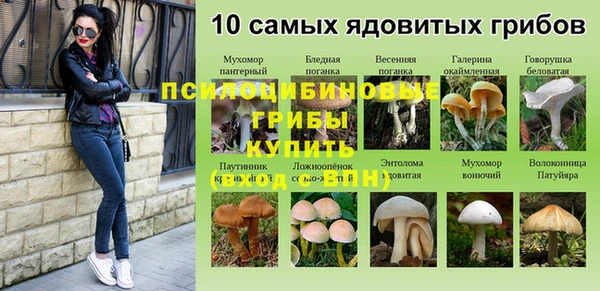 бутират Алзамай