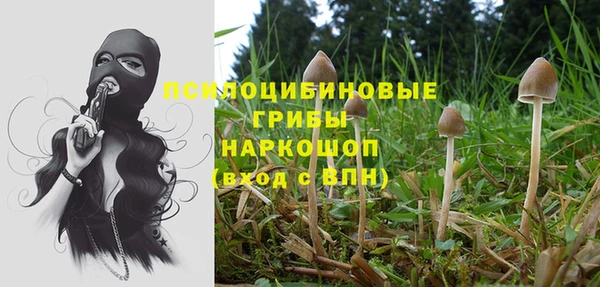Альфа ПВП Алексеевка