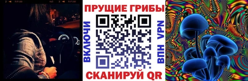 купить наркотик  Неман  Псилоцибиновые грибы прущие грибы 